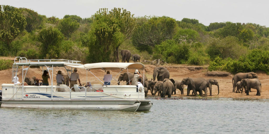 3 Days Akagera Wildlife Safari During COVID-19