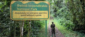 Bwindi Impenetrable National Park Walking Trails