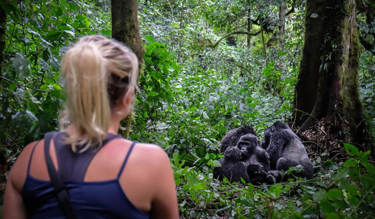 Gorilla Trekking Destinations in Africa