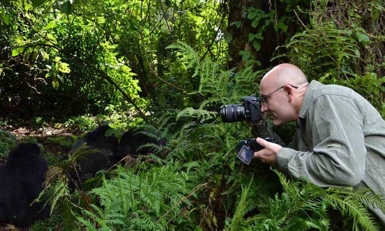 Gorilla Trekking Guidelines in Rwanda