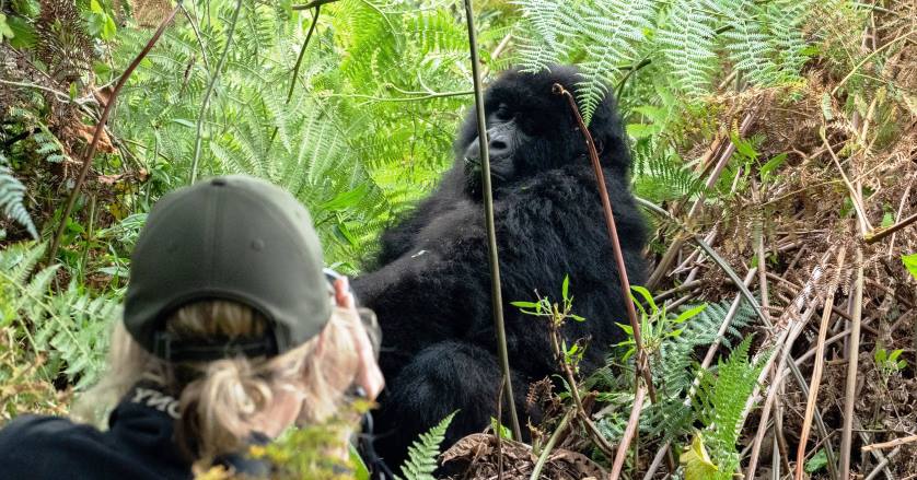 Gorilla Trekking in Bwindi Impenetrable National Park