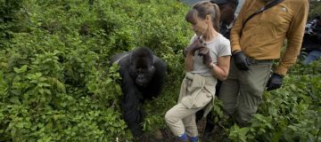 Gorilla Trekking in Volcanoes National Park