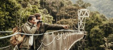 Travel Guide for Nyungwe National Park