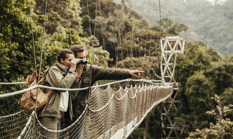 Travel Guide for Nyungwe National Park