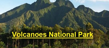 Why visit Volcanoes National Park