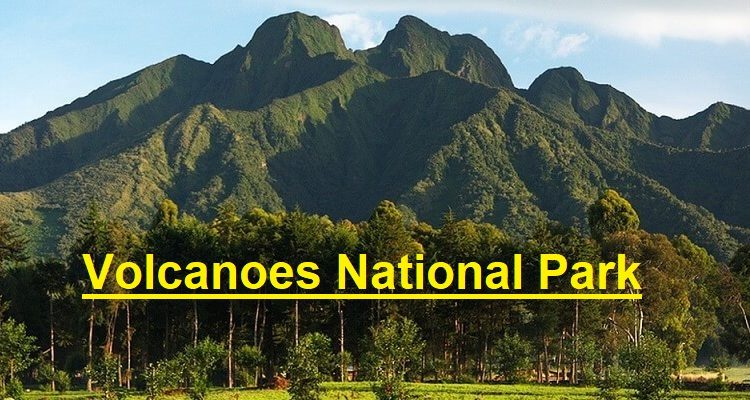 Why visit Volcanoes National Park