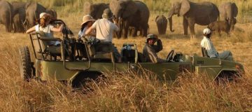 A game drive in Kidepo Valley National Park