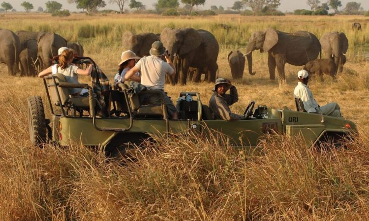 7 Days Kidepo and Murchison Falls Wildlife Safari