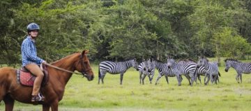 Activities in Lake Mburo National Park