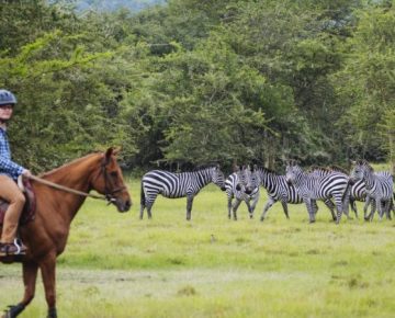 8 Days Uganda Wildlife Safari 