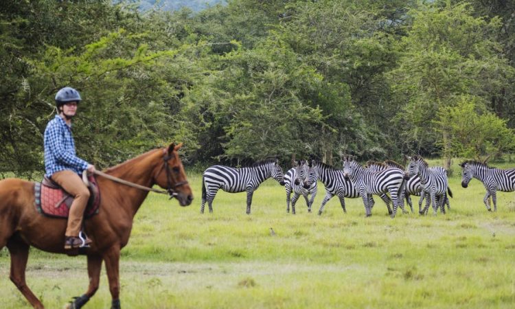 Activities in Lake Mburo National Park