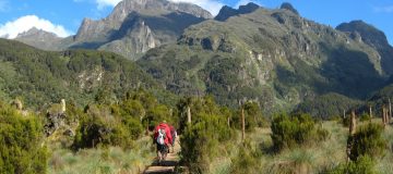 What to expect when hiking the Rwenzori Mountains in Uganda