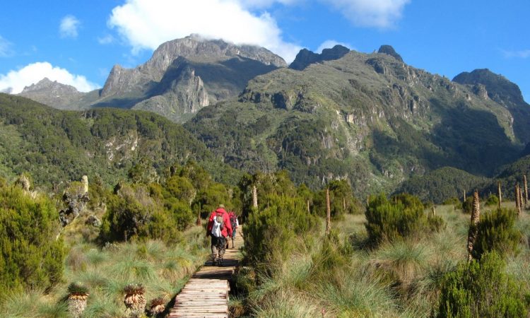 Activities in Mount Rwenzori National Park