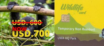 Gorilla Trekking Permit in Uganda