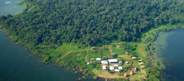 Ngamba Chimpanzee Sanctuary