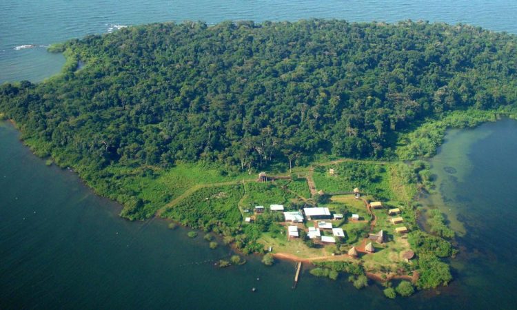 Ngamba Chimpanzee Sanctuary