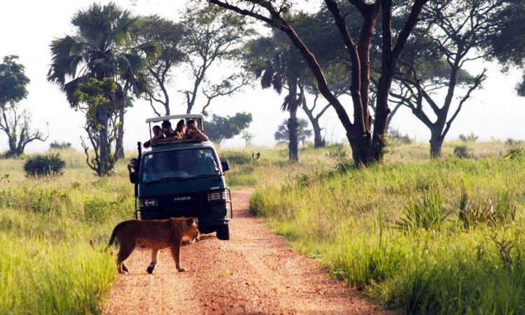 Activities in Murchison Falls National Park