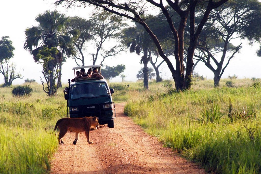 Game Drives