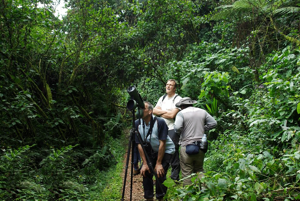 Activities in Bwindi Impenetrable National Park