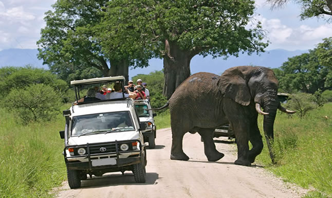Activities in Akagera National Park 2021