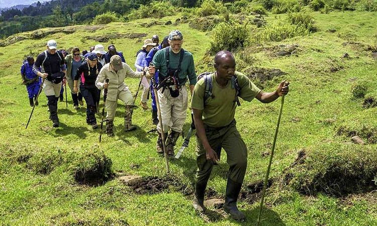 Rwanda Hiking Tours