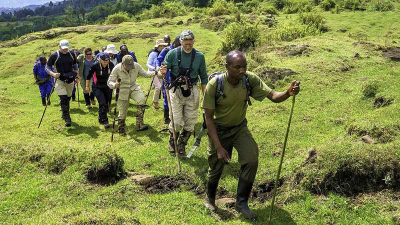 4 Days Rwanda Golden Monkeys & Mt Karisimbi Hike