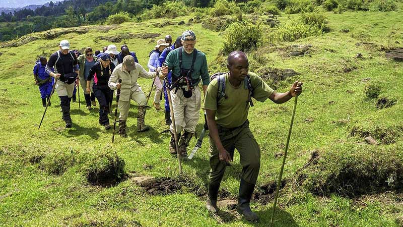  2 Days Mount Karisimbi Hike