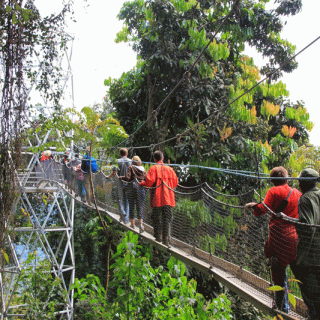 3 Days Nyungwe National Park tour
