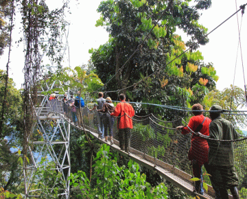 16 Days Rwanda and Uganda Gorillas & Wildlife Safari