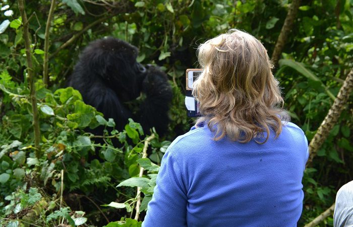 Gorilla Trekking Rules and Regulations in Rwanda