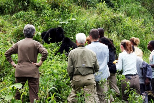 Gorilla Trekking attire in Rwanda