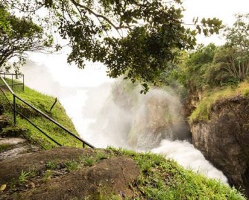 18 Days Uganda and Rwanda Safari