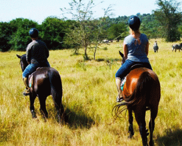 2 days horseback riding in Lake Mburo