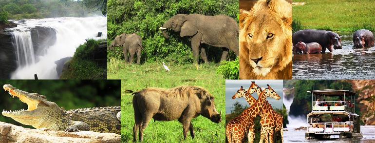 Top Tourists Attractions in Uganda