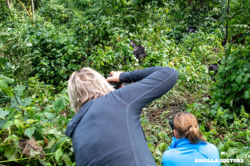 Gorilla trekking in Rwanda during Corona Virus