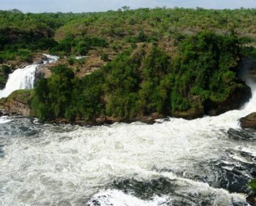 9 Days Best of Uganda Safari