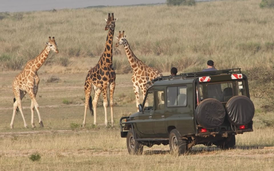 Akagera national park