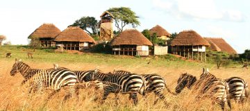 Accommodation in Kidepo valley national park