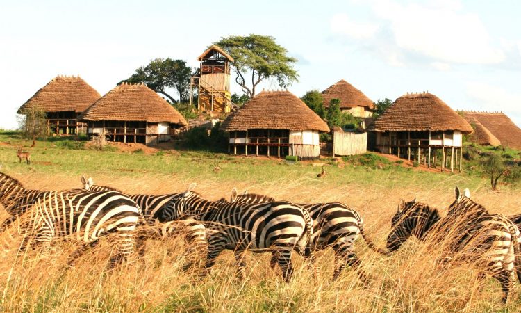 Accommodation in Kidepo valley national park