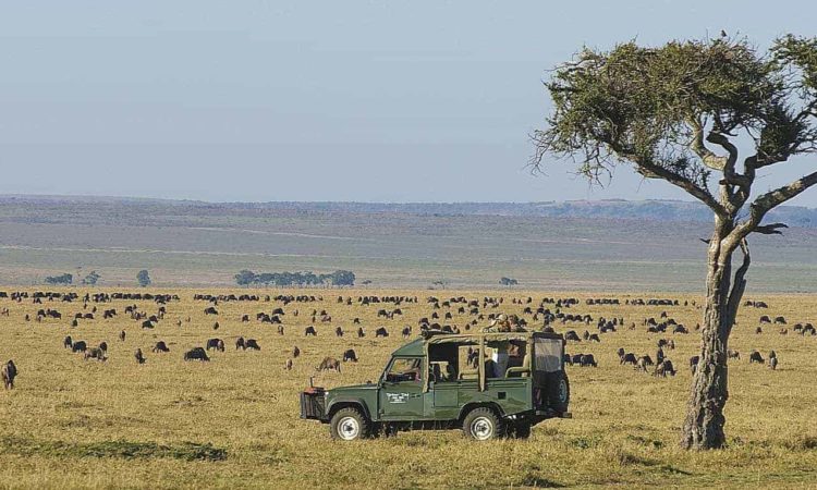 5 Days Volcanoes & Masai Mara National Parks Safari