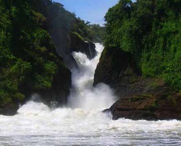 9 Days Best of Uganda Safari Tour