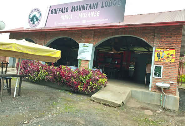 Buffalo Mountain Lodge- Volcanoes National Park Rwanda