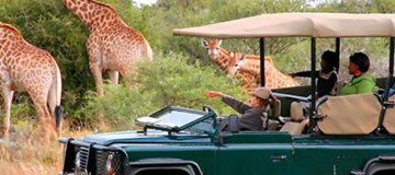 Luxury Travel in Rwanda Without the Crowd