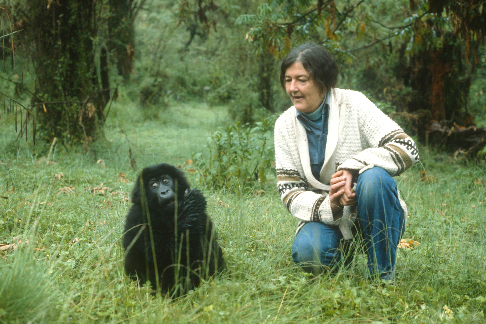 Dian Fossey’s history