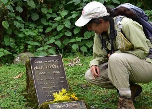 Dian Fossey's Living Legacy