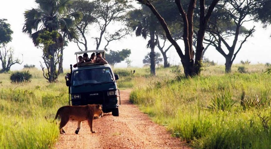 How to get to Murchison  Falls National Park 