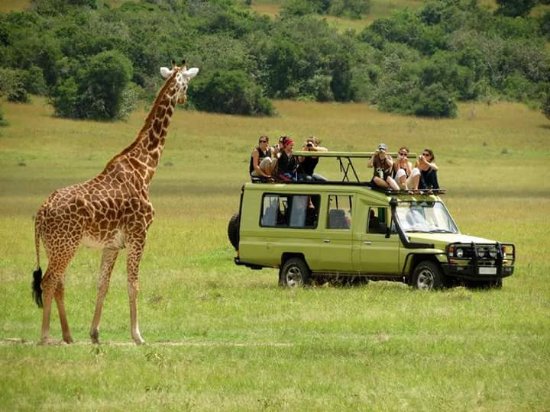 10 Days Explore Uganda Wildlife and Gorilla Safari