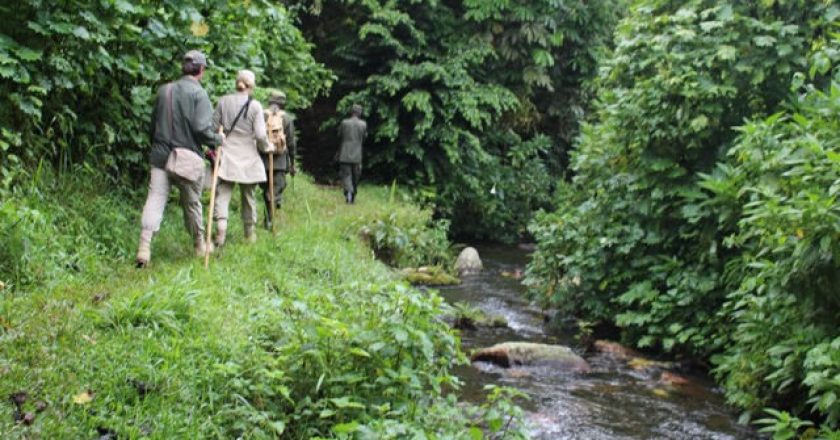 Gorilla trekking sectors in Bwindi National Park