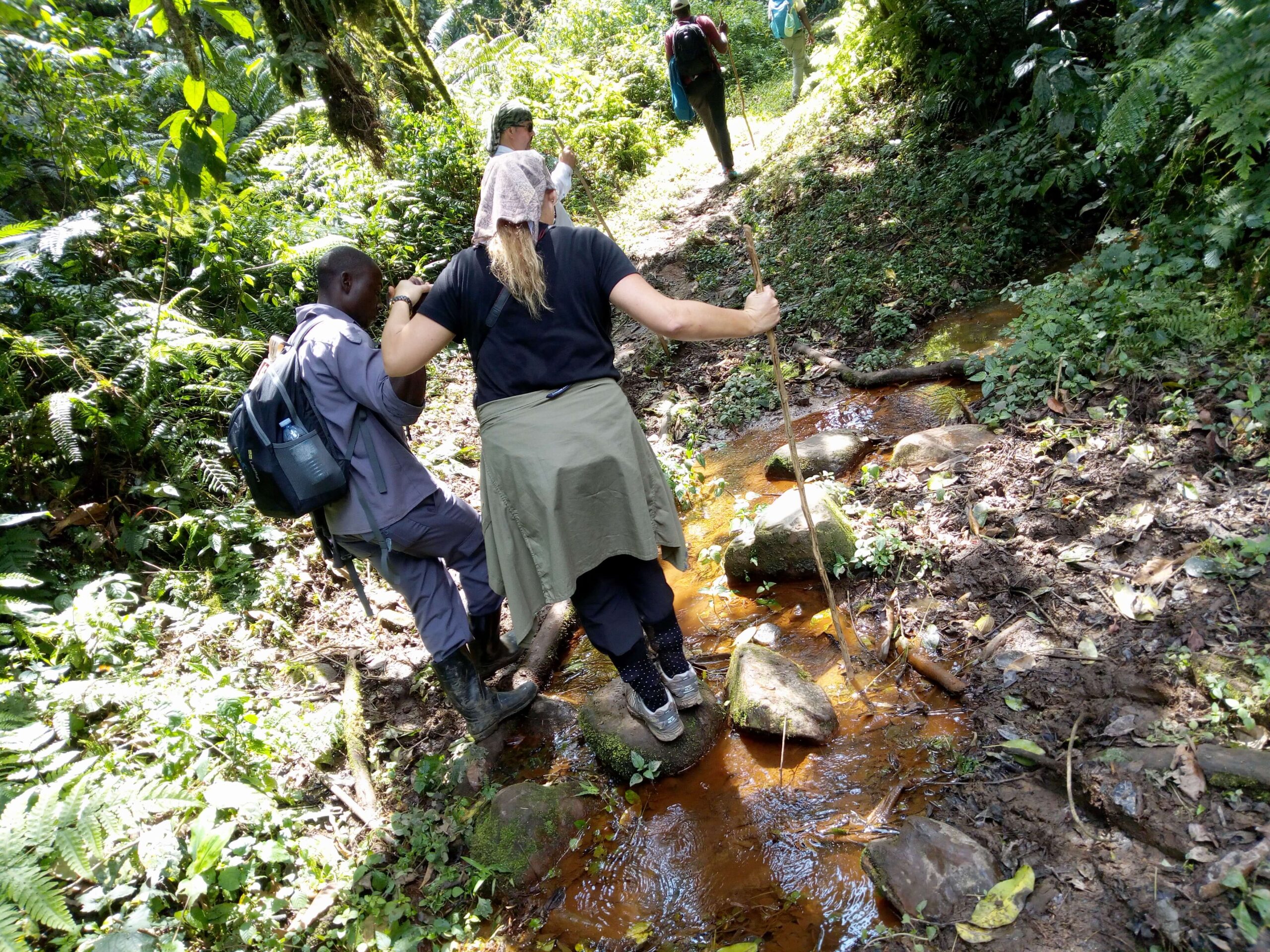 Hiking Tours and Guided Nature Walks in Bwindi Impenetrable N.P