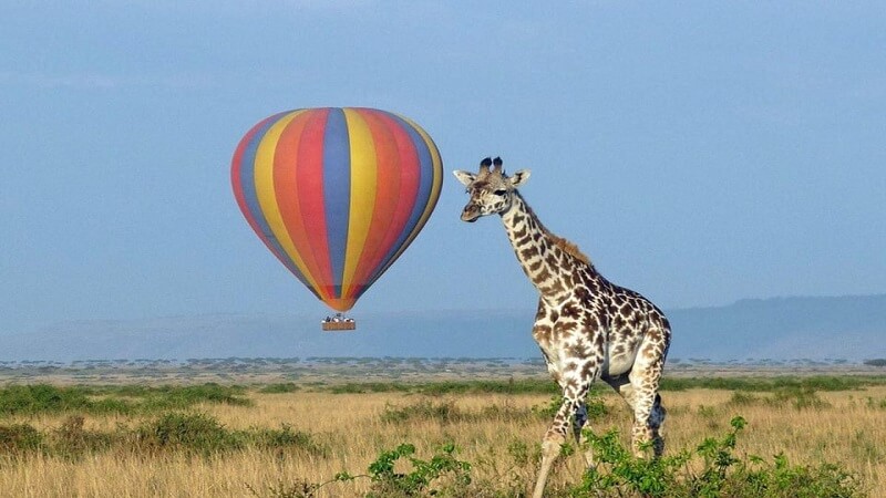 Hot Air Balloon adventure in East Africa